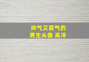 帅气又霸气的男生头像 高冷